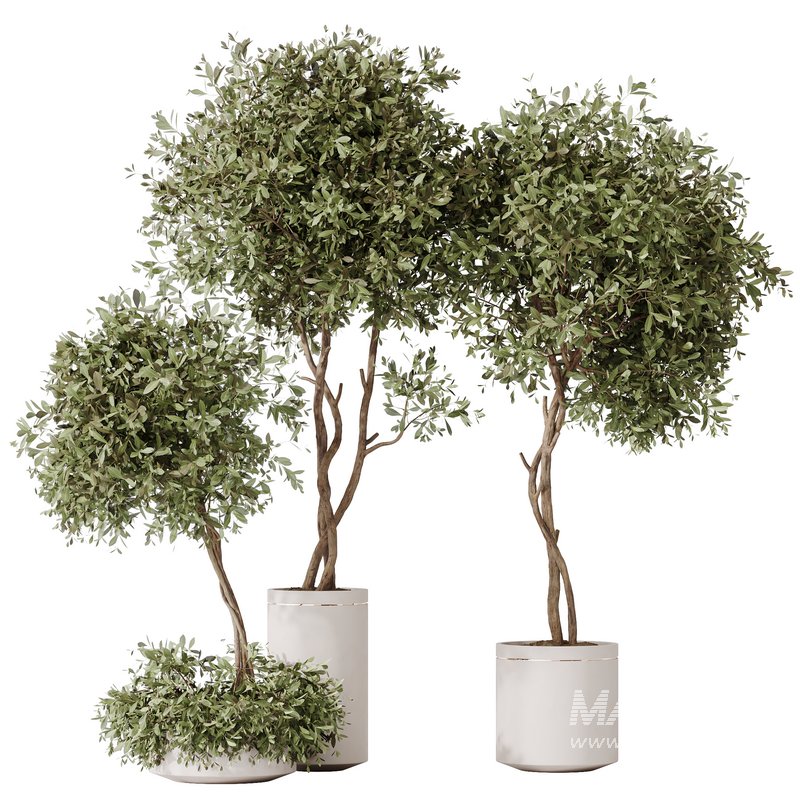 HousePlants Olive Artificial Olivo Olea Tree - Image 1
