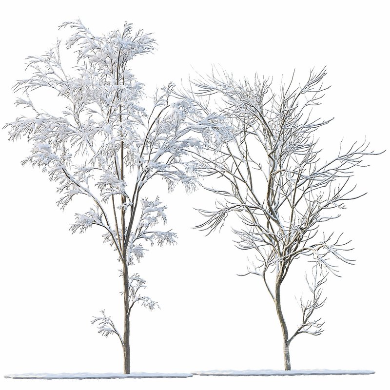 Winter Snow Tree 01 - Image 1