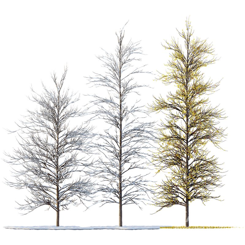 Winter Snow and fall Tree 02 - Image 2