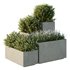 HQ Tree and bush garden box outdoor VOL 51 - Thumbnail 1