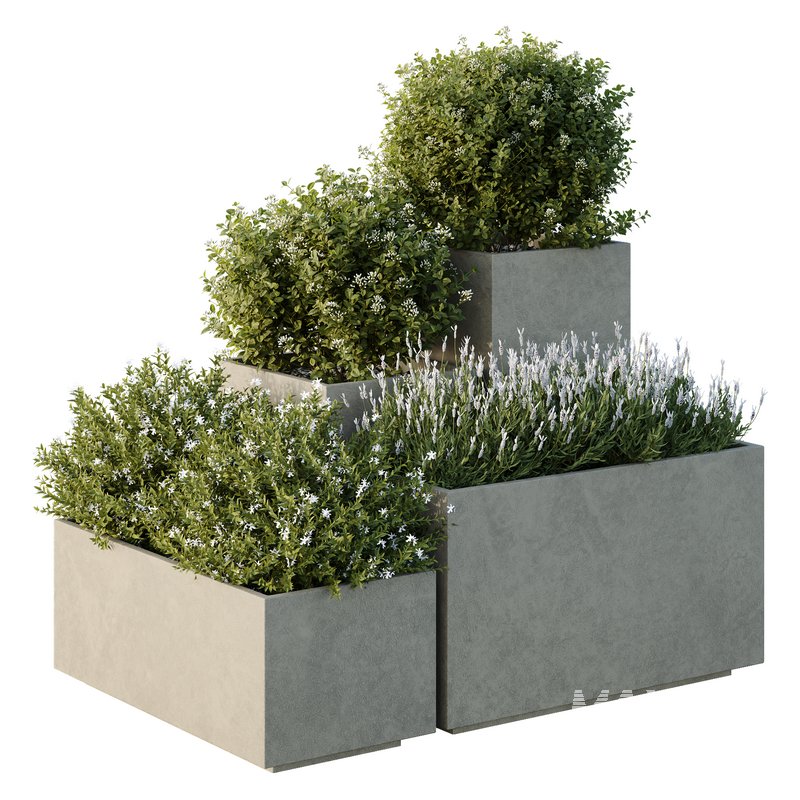HQ Tree and bush garden box outdoor VOL 51 - Image 1