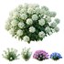 HQ Plants Smooth Wild Hydrangea Arborescens Annabelle - Thumbnail 1