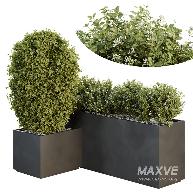 HQ Tree and bush garden box outdoor VOL 46 - Image 1
