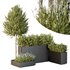HQ Tree and bush garden box outdoor VOL 50 - Thumbnail 1