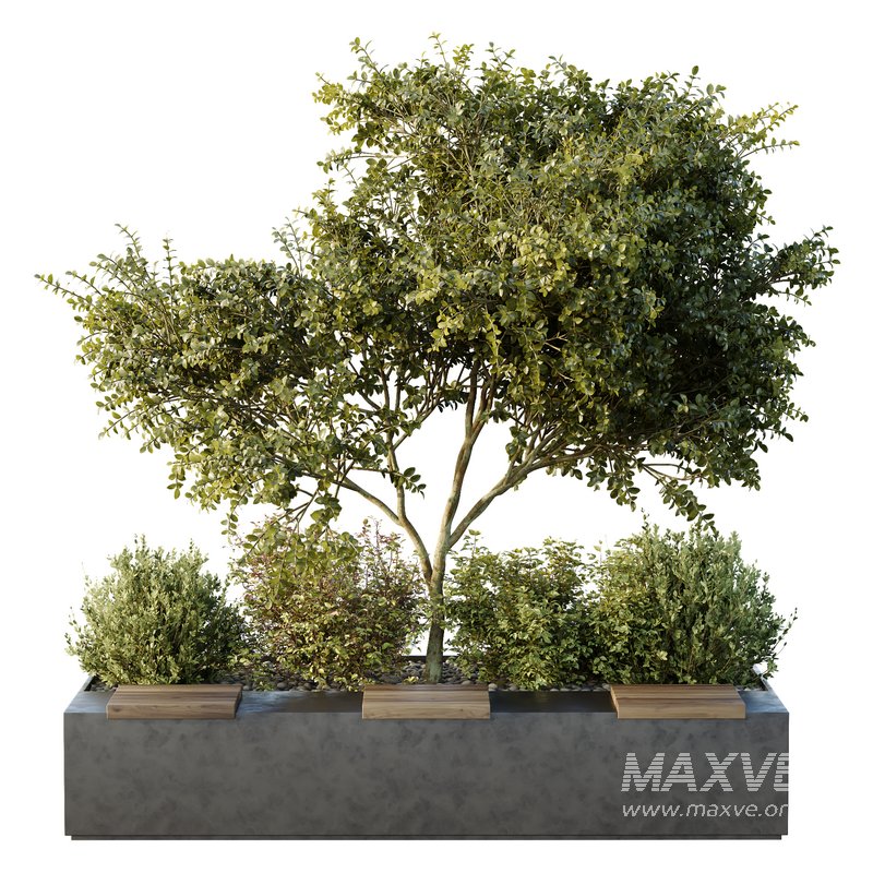 HQ Tree and bush garden box outdoor VOL 54 - Image 1