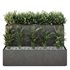 Tree and bush garden box outdoor VOL 55 - Thumbnail 2