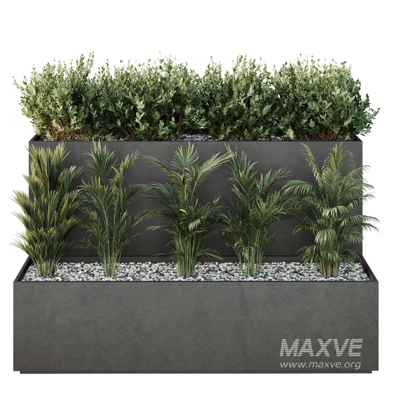 Tree and bush garden box outdoor VOL 55 - Image 2