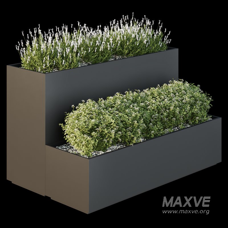 HQ Tree and bush garden box outdoor VOL 53 - Image 1