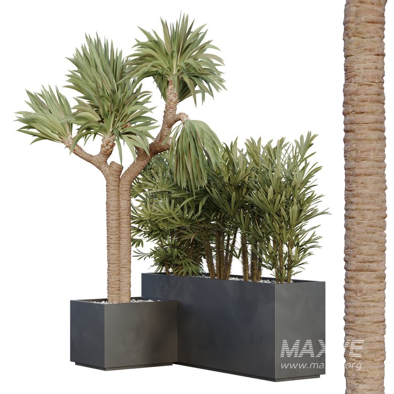 HQ Tree and bush garden box outdoor VOL 45 - Image 2