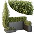 HQ Tree and bush garden box outdoor VOL 49 - Thumbnail 2