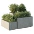 HQ Tree and bush garden box outdoor VOL 52 - Thumbnail 1