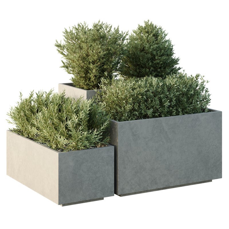 HQ Tree and bush garden box outdoor VOL 52 - Image 1