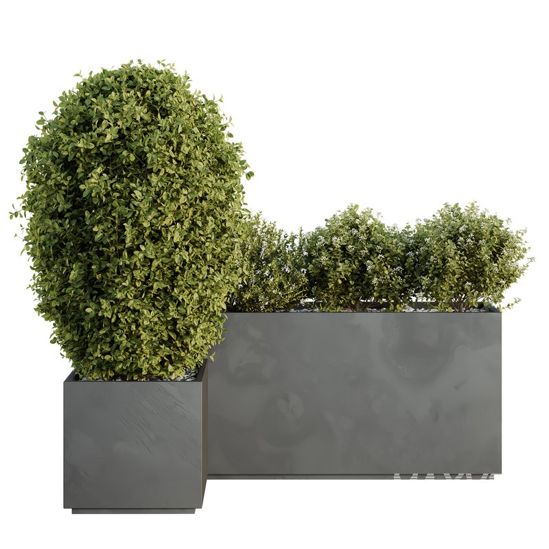 HQ Tree and bush garden box outdoor VOL 46 - Image 2