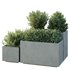 HQ Tree and bush garden box outdoor VOL 52 - Thumbnail 2