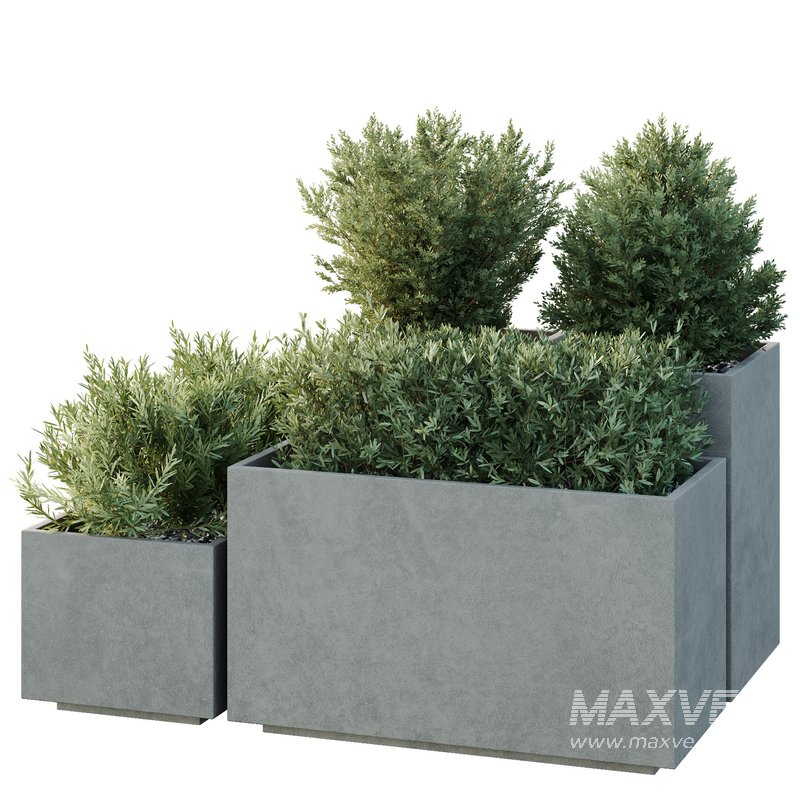 HQ Tree and bush garden box outdoor VOL 52 - Image 2