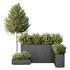 HQ Tree and bush garden box outdoor VOL 50 - Thumbnail 2