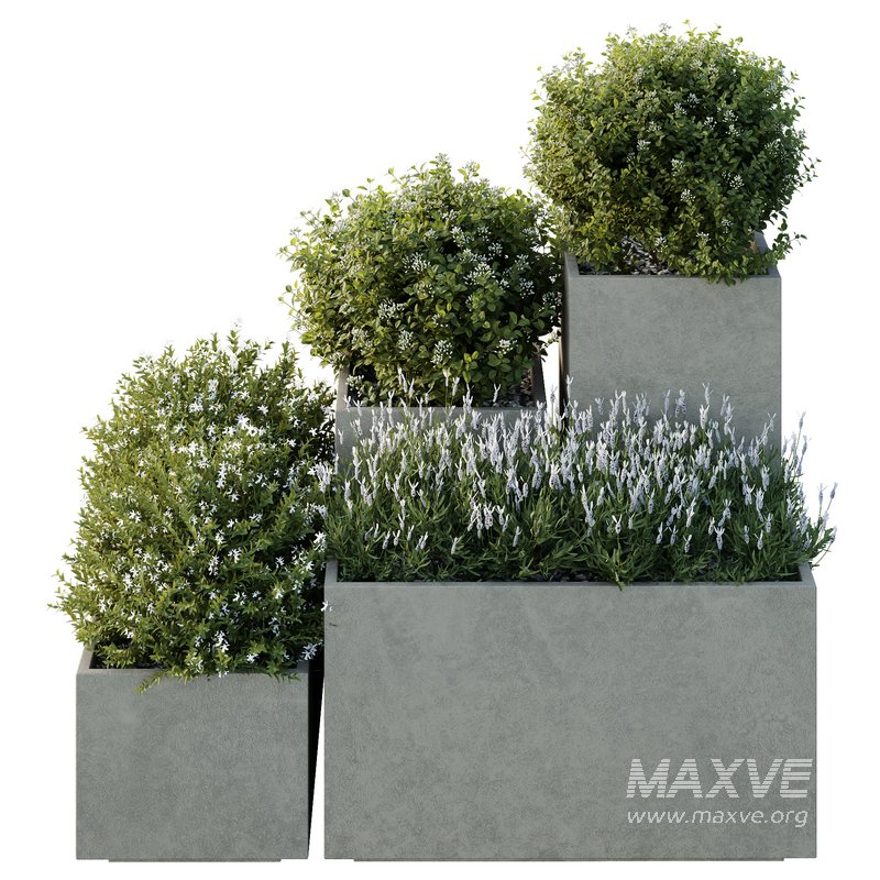 HQ Tree and bush garden box outdoor VOL 51 - Image 3