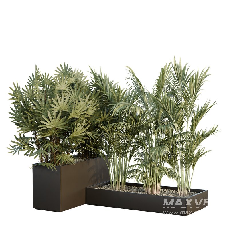 HQ Tree and bush garden box outdoor VOL 44 - Image 2
