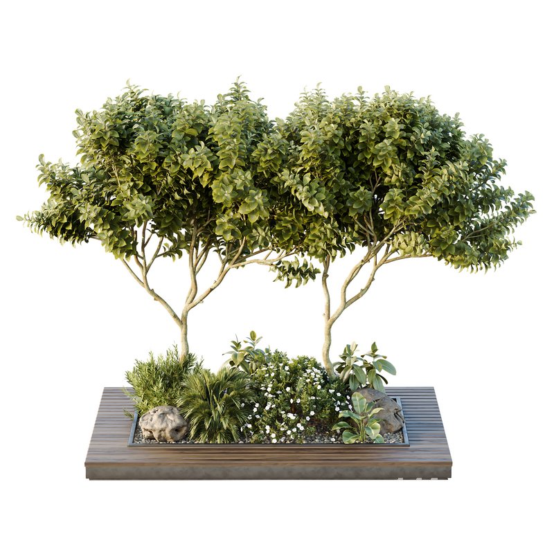 HQ Tree and bush garden box outdoor VOL 46 - Image 2
