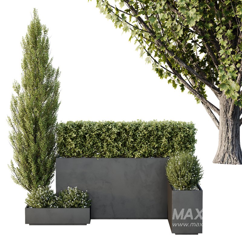 HQ Tree and bush garden box outdoor VOL 49 - Image 1