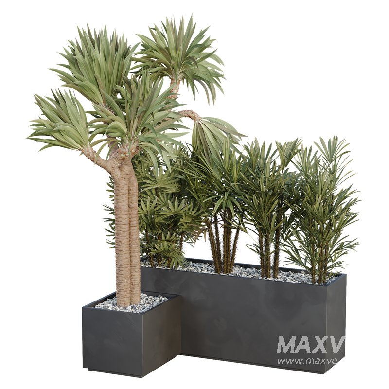 HQ Tree and bush garden box outdoor VOL 45 - Image 1