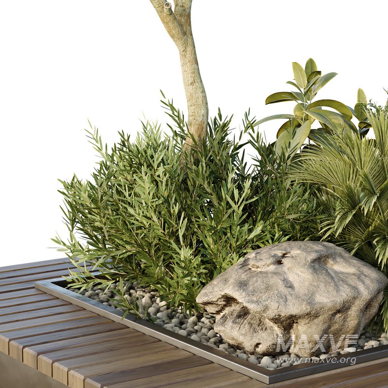 HQ Tree and bush garden box outdoor VOL 46 - Image 3