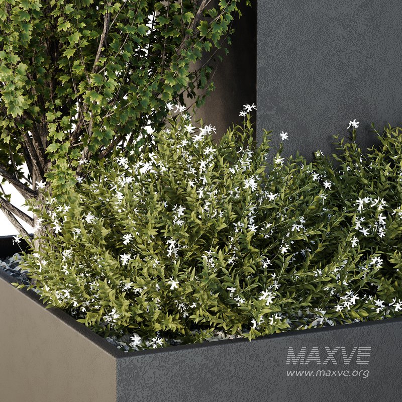 HQ Tree and bush garden box outdoor VOL 49 - Image 3