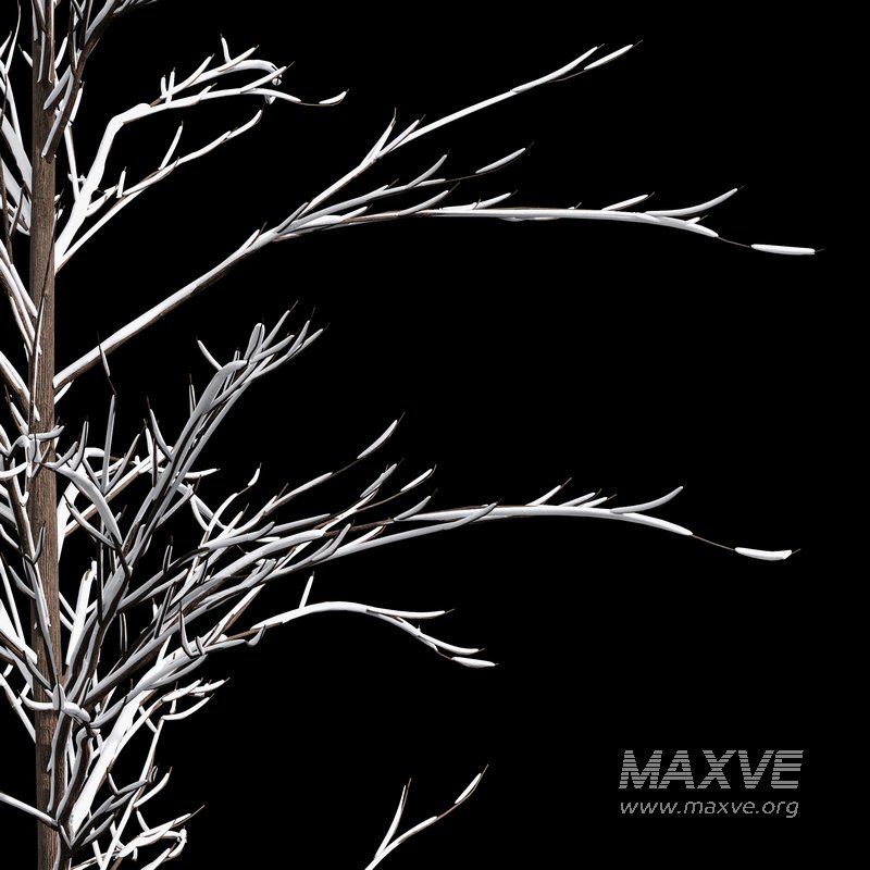 Winter Snow and fall Tree 02 - Image 1