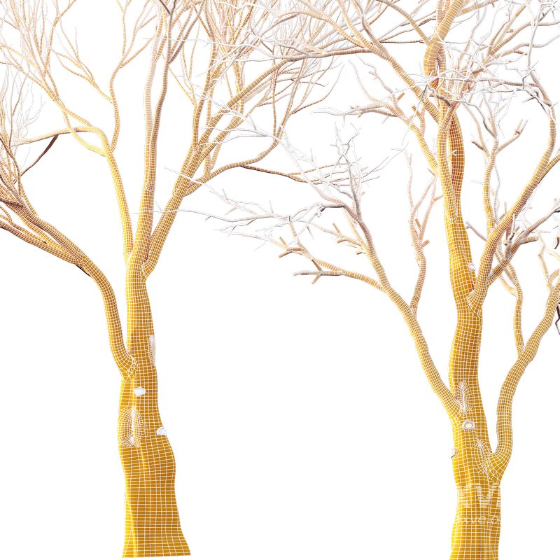 Dry Or Dead Tree 02 - Image 3