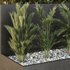 Tree and bush garden box outdoor VOL 55 - Thumbnail 3