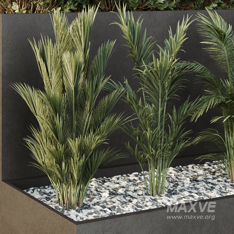 Tree and bush garden box outdoor VOL 55 - Image 3