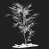 Winter Snow Tree 01 - Thumbnail 4