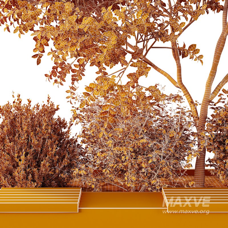 HQ Tree and bush garden box outdoor VOL 54 - Image 4