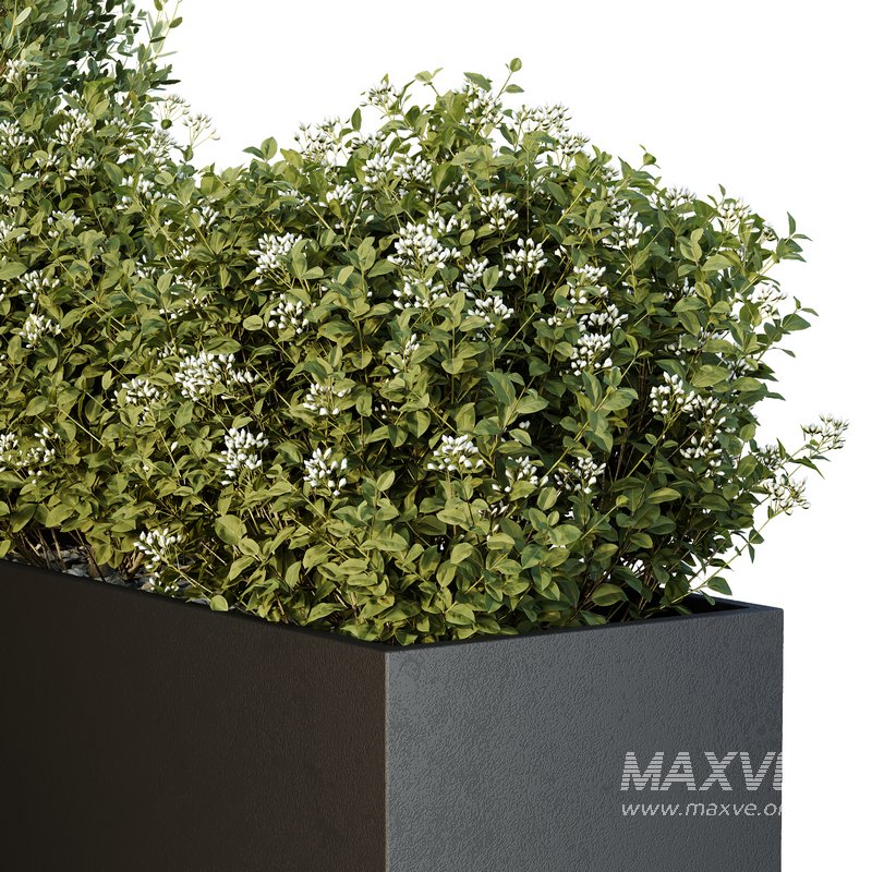 HQ Tree and bush garden box outdoor VOL 50 - Image 4