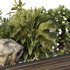 HQ Tree and bush garden box outdoor VOL 46 - Thumbnail 4