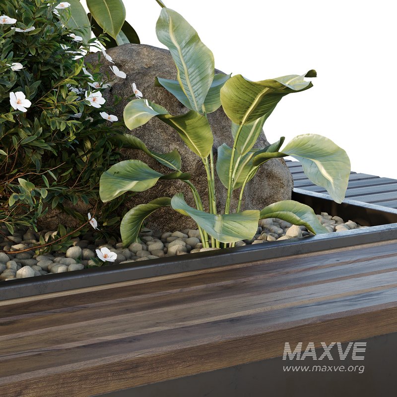 HQ Tree and bush garden box outdoor VOL 46 - Image 5