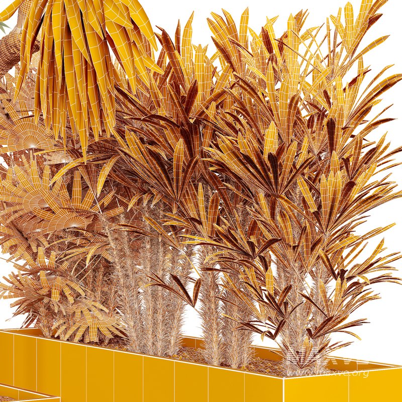 HQ Tree and bush garden box outdoor VOL 45 - Image 5