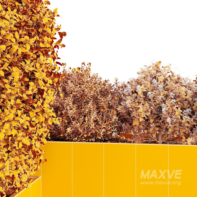 HQ Tree and bush garden box outdoor VOL 46 - Image 5