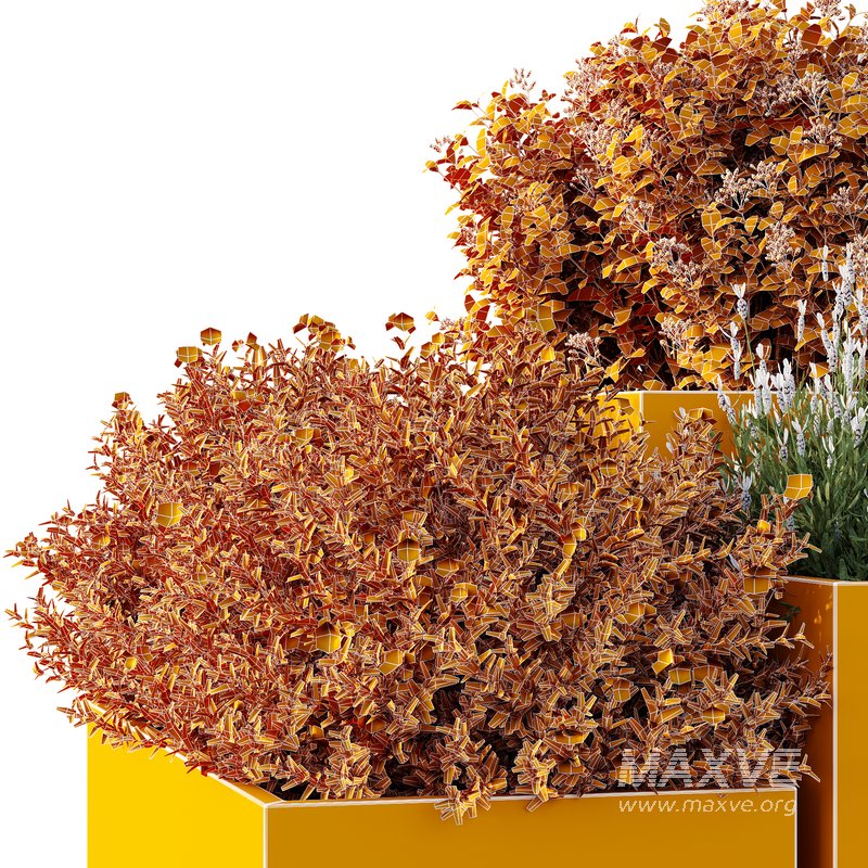 HQ Tree and bush garden box outdoor VOL 51 - Image 5