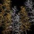 Winter Snow and fall Tree 02 - Thumbnail 5