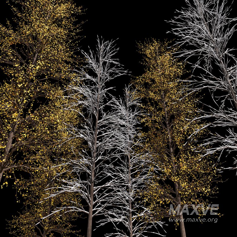 Winter Snow and fall Tree 02 - Image 5