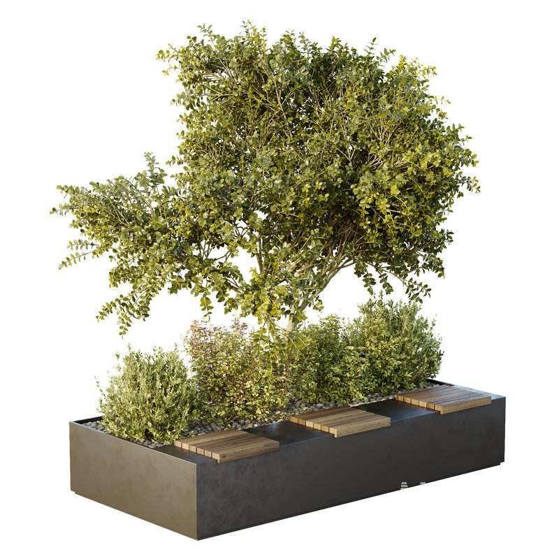 HQ Tree and bush garden box outdoor VOL 54 - Image 5