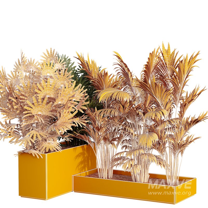 HQ Tree and bush garden box outdoor VOL 44 - Image 5