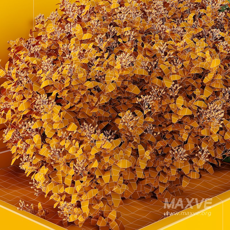 HQ Tree and bush garden box outdoor VOL 53 - Image 5