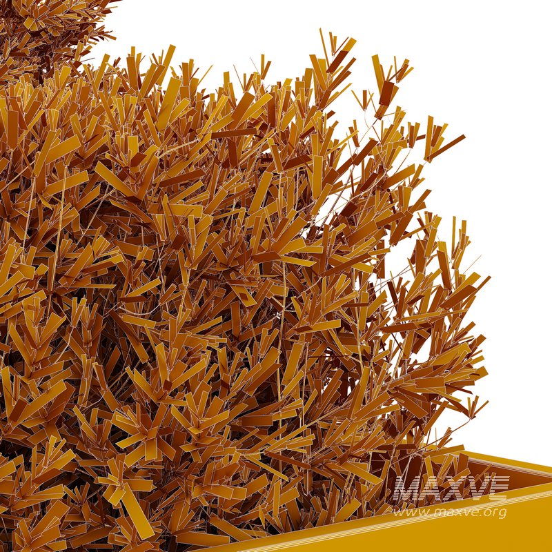 HQ Tree and bush garden box outdoor VOL 52 - Image 5