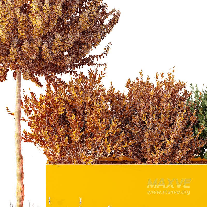 HQ Tree and bush garden box outdoor VOL 50 - Image 6