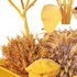 HQ Tree and bush garden box outdoor VOL 46 - Thumbnail 6