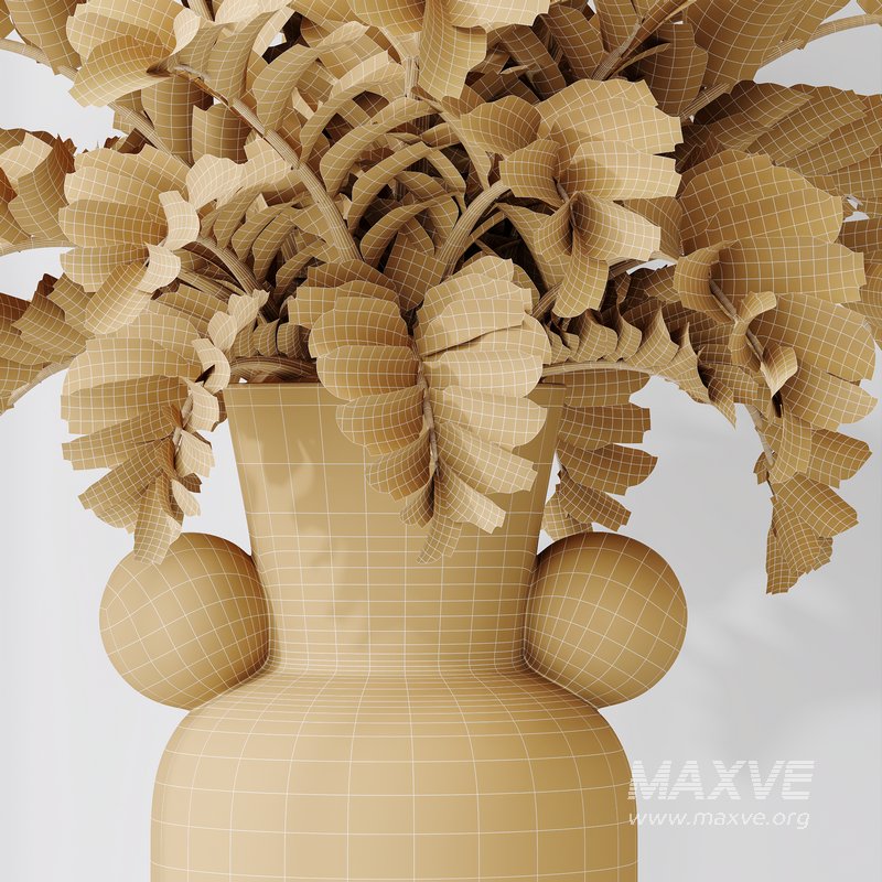 HQ HousePlants ZZ Zamioculcas Zamiifolia Araceae - Image 6