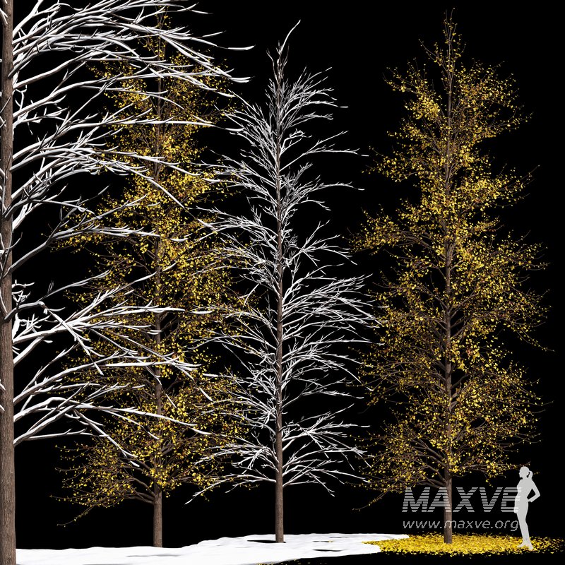 Winter Snow and fall Tree 02 - Image 6