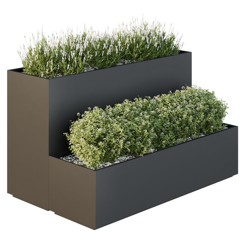 HQ Tree and bush garden box outdoor VOL 53 - Image 6